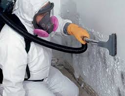 Best Biohazard Mold Removal in Lyman, SC